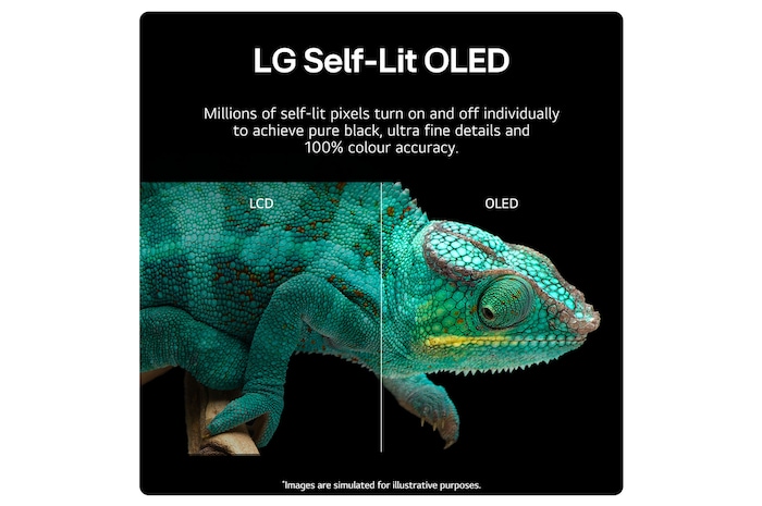 LG 65 inch LG OLED AI B4 4K Smart TV 2024, OLED65B46LA